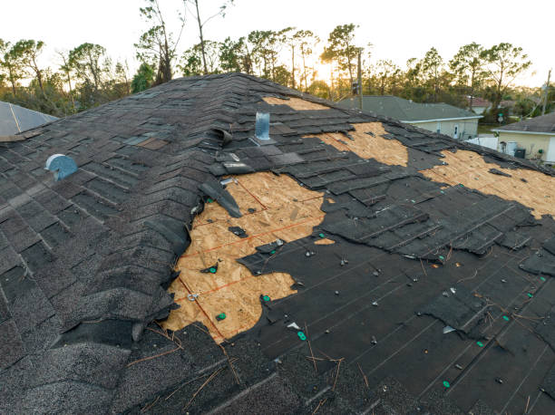 Best Steel Roofing  in Lusby, MD