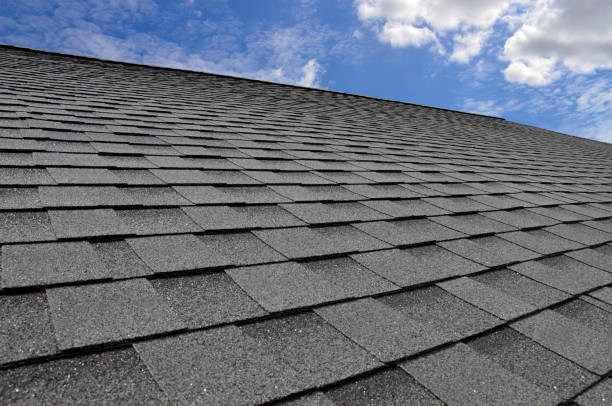 Best Storm Damage Roof Repair  in Lusby, MD
